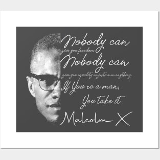 MalcolmX - Take Your Freedom Posters and Art